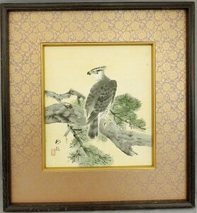 Art hand Auction 柳穗日本画, 松树和鹰, 色纸绘画, 框架, 用过的, 彩色纸, 日本画, 用过的, 绘画, 日本画, 其他的