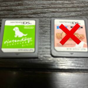 任天堂DSソフト　ニンテンドッグス柴&フレンズ