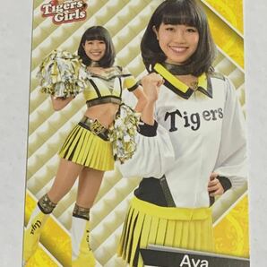 Aya 2019 BBM チアリーダー 華 #86 阪神 Tigers Girls 即決の画像1