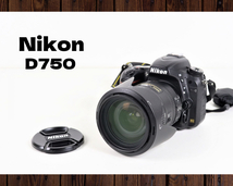 Nikon D750 ニコン AF-S NIKKOR 28-300mm 1:3.5-5.6G デジタル一眼カメラ レンズ SWM VR ED IF Aspherical φ77 / EN-EL15 / 090JICH28_画像1