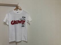 【送料無料！】175R Live The GROWLY Tour2004 TシャツsizeS_画像3