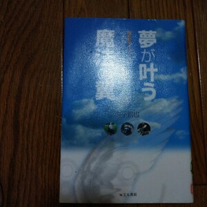 夢が叶う魔法の翼　電動車イスは移動の自由だけじゃなく、心の自由も与えてくれた！ 西平哲也／著