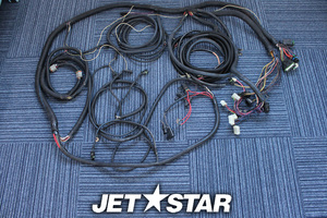 シードゥ 社外 Boat Wiring Harness Assy for 200SPEEDSTER SCIC 2006 わけあり 中古 [X111-048]