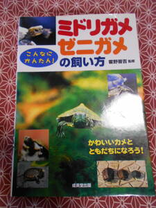 ★ミドリガメ・ゼニガメの飼い方　霍野 晋吉 (監修)★ニホンイシガメなど飼ってみたいですね。他人に干渉せずマイペースな生き物をいかが？