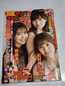 １８　１９　１　月刊ヤングマガジン　山下美月　松村沙友理　衛藤美彩　梅澤美波　鈴木絢音　寺田蘭世　中村麗乃　向井葉月　岩本蓮加