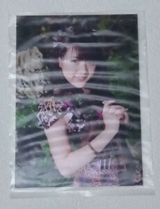 Art hand Auction Kanon Kimoto Raw Photo AKB48 SKE48 Not for Sale, Talent goods, photograph