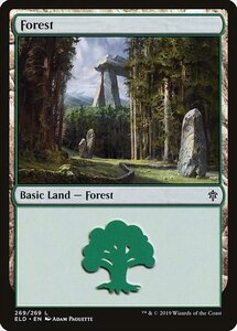 MTG ■土地/英語版■ 《森/Forest》エルドレインの王権 ELD 　