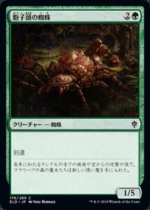 MTG ■緑/日本語版■ 《胞子頭の蜘蛛/Sporecap Spider》エルドレインの王権 ELD 　