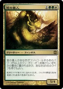 MTG ■金/日本語版■ 《茸の番人/Mycoid Shepherd》アラーラ再誕 ARB