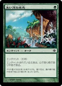 MTG ■緑/日本語版■ 《生い茂る成長/Lush Growth》アラーラの断片 ALA