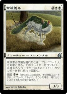 MTG ■白/日本語版■ 《草原恵み/Meadowboon》モーニングタイド MOR