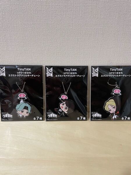 タイニータン アクリルキーホルダー 韓国 KPOP