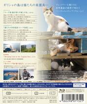 「エーゲ海・猫が暮らす癒しの島」(Blu-ray Disc) 送料無料!_画像2