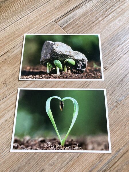 ポストカード POST CARD 2枚