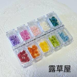 * free shipping simple material for flower arrangement set Star flower Mini maru Sera 10 color 100 piece in the case 2*