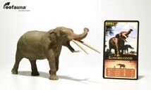 Eofauna 1/35 サイズ KONOBELODON コノベロドン 象 ゾウ マンモス 絶滅 動物 フィギュア プラモデル キッズ 大人のおもちゃ 模型 23cm級_画像1