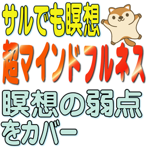 ★★ 超マインドフルネス (瞑想 入門 初心者 簡単 呼吸法 送料無料)