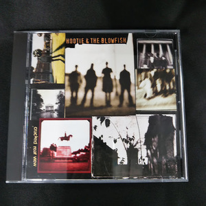 HOOTIE＆THE BLOWFISH/cracked rear view