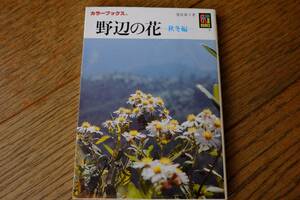 . side flower autumn winter compilation . see .. Hoikusha color books 