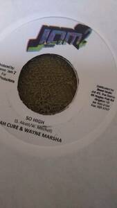 Adult Taste Sound Mojito Riddim Single 2枚Set from JamⅡ Jah Cure Wayne Marshall Michael Rose