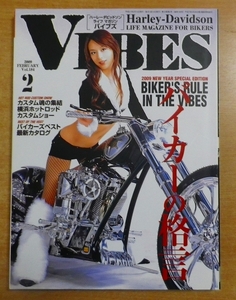 VIBES (バイブス) 2009年 02月号