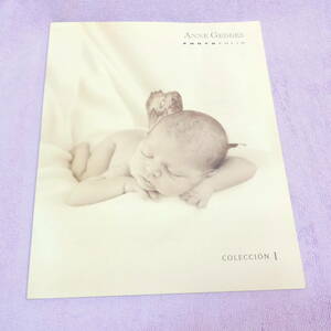 Anne Geddes PHOTO FOLIO 乳児 赤ちゃん インテリア 写真集　壁掛け 黄ばみあり アート