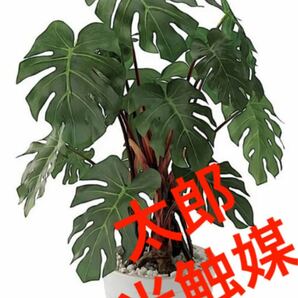 光触媒　人工観葉植物　ウォールグリーン　フェイク　フラワー　モンステラ56