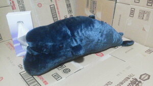 タグなし シャクレルプラネット クジラ BIG ぬいぐるみ シャクレルクジラ 鯨 くじら 全1種 特大 抱き枕 ディスプレイ 60cm 送料510円