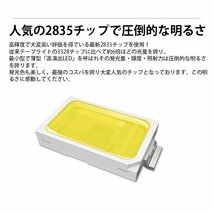 家庭用 LEDテープライト 6M 1080SMD/M白色/電球色/青_画像5