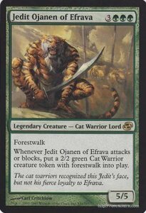 MTG エフラヴァのジェディット・オジャネン レア マジック:ザ・ギャザリング 次元の混乱 PLC-EN131 同梱可 ※英語版