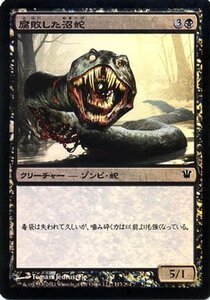 マジック・ザ・ギャザリング 腐敗した沼蛇 FOIL / イニストラード 日本語版 シングルカード