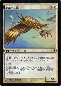 マジック・ザ・ギャザリング 天頂の鷹 FOIL / コンスピラシー 日本語版 シングルカード