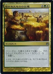 マジック・ザ・ギャザリング 蒔かれたものの収穫 FOIL / 神々の軍勢 日本語版 シングルカード