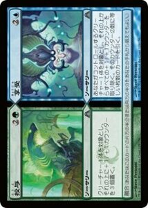 マジック・ザ・ギャザリング 投与 / ドラゴンの迷路 日本語版 シングルカード