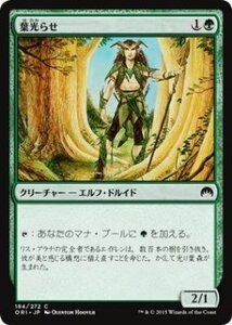 マジック・ザ・ギャザリング 葉光らせ/Leaf Gilder / マジック・オリジン 日本語版 シングルカード