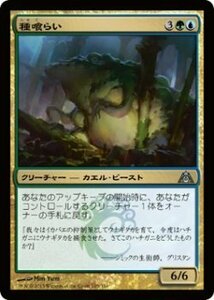 マジック・ザ・ギャザリング 種喰らい / ドラゴンの迷路 日本語版 シングルカード