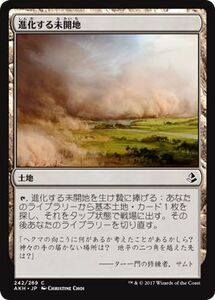 MTG マジック：ザ・ギャザリング 進化する未開地 コモン アモンケット AKH-242