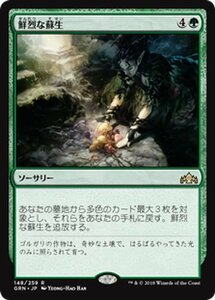 MTG マジック：ザ・ギャザリング 鮮烈な蘇生 レア ラヴニカのギルド GRN-148 日本語版 ソーサリー 緑