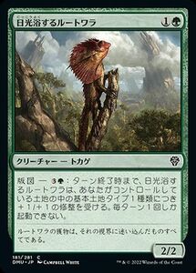 MTG マジック：ザ・ギャザリング 日光浴するルートワラ コモン 団結のドミナリア DMU-181 日本語版 緑