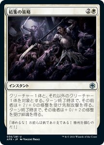 MTG 結集の策略 アンコモン マジック:ザ・ギャザリング フォーゴトン・レルム探訪 AFR-036 ギャザ 日本語版 インスタント 白