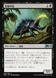 MTG マジック：ザ・ギャザリング 荒廃甲虫 アンコモン 基本セット2020 M20-087 日本語版 クリーチャー 黒