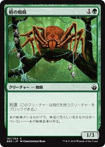 MTG マジック：ザ・ギャザリング 梢の蜘蛛 コモン バトルボンド BBD-191