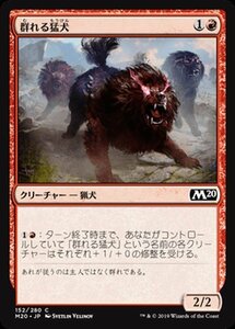 MTG マジック：ザ・ギャザリング 群れる猛犬 コモン 基本セット2020 M20-152 日本語版 クリーチャー 赤