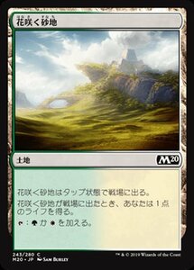 MTG マジック：ザ・ギャザリング 花咲く砂地 コモン 基本セット2020 M20-243 日本語版 土地 土地