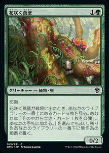 MTG マジック：ザ・ギャザリング 花咲く蔦壁 コモン 団結のドミナリア DMU-163 日本語版 緑