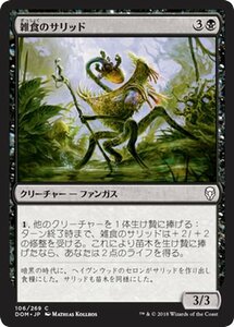 MTG マジック：ザ・ギャザリング 雑食のサリッド コモン ドミナリア DOM-106