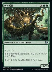 MTG マジック：ザ・ギャザリング 古き苔髭 アンコモン 団結のドミナリア DMU-173 日本語版 緑