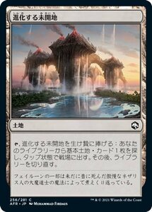 MTG 進化する未開地 コモン マジック:ザ・ギャザリング フォーゴトン・レルム探訪 AFR-256 ギャザ 日本語版 土地 土地