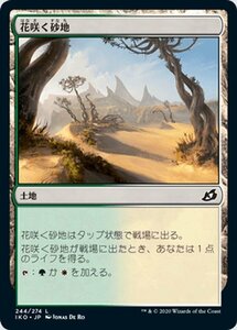 MTG マジック：ザ・ギャザリング 花咲く砂地 基本土地 イコリア：巨獣の棲処 IKO-244 日本語版 土地 土地