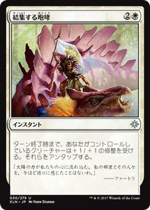 MTG マジック：ザ・ギャザリング 結集する咆哮 アンコモン イクサラン XLN-030